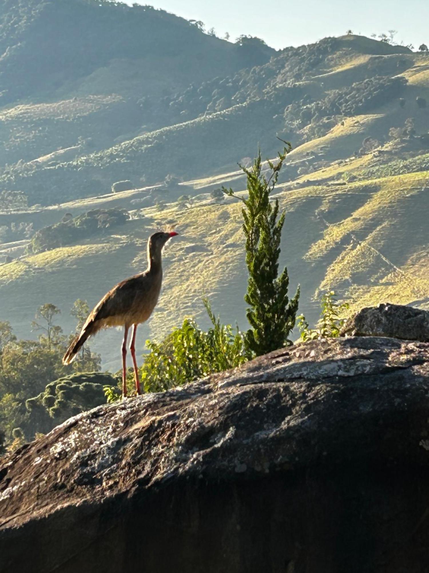 Pousada Terra Dos Passaros Sao Bento do Sapucai Luaran gambar